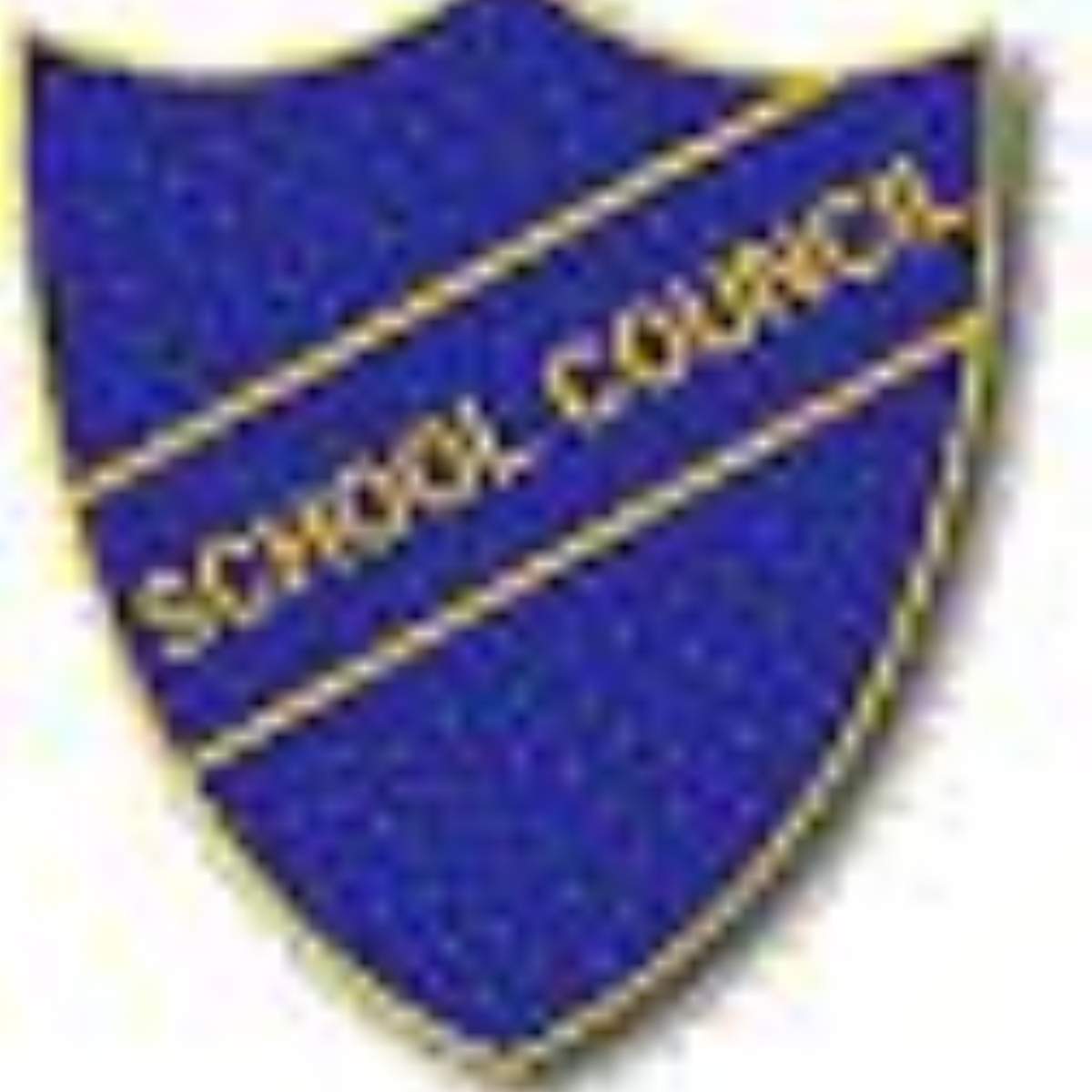 Chatsworth High School and Community College - Chatsworth School Council